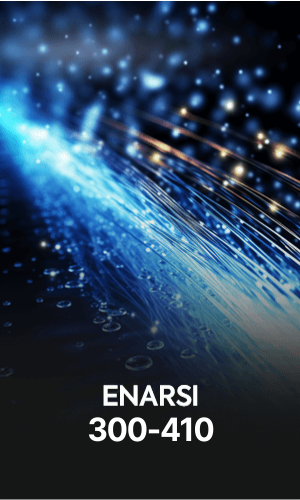 Enarsi