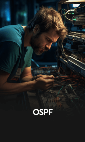 OSPF